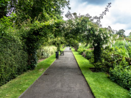 Pathway in Belfast park